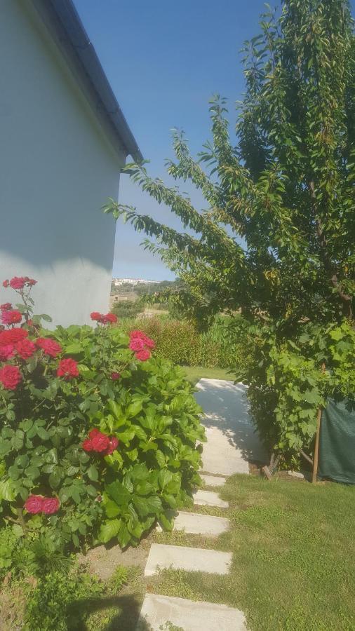 Quinta Do Serrado De Belmonte ベルモンテ エクステリア 写真