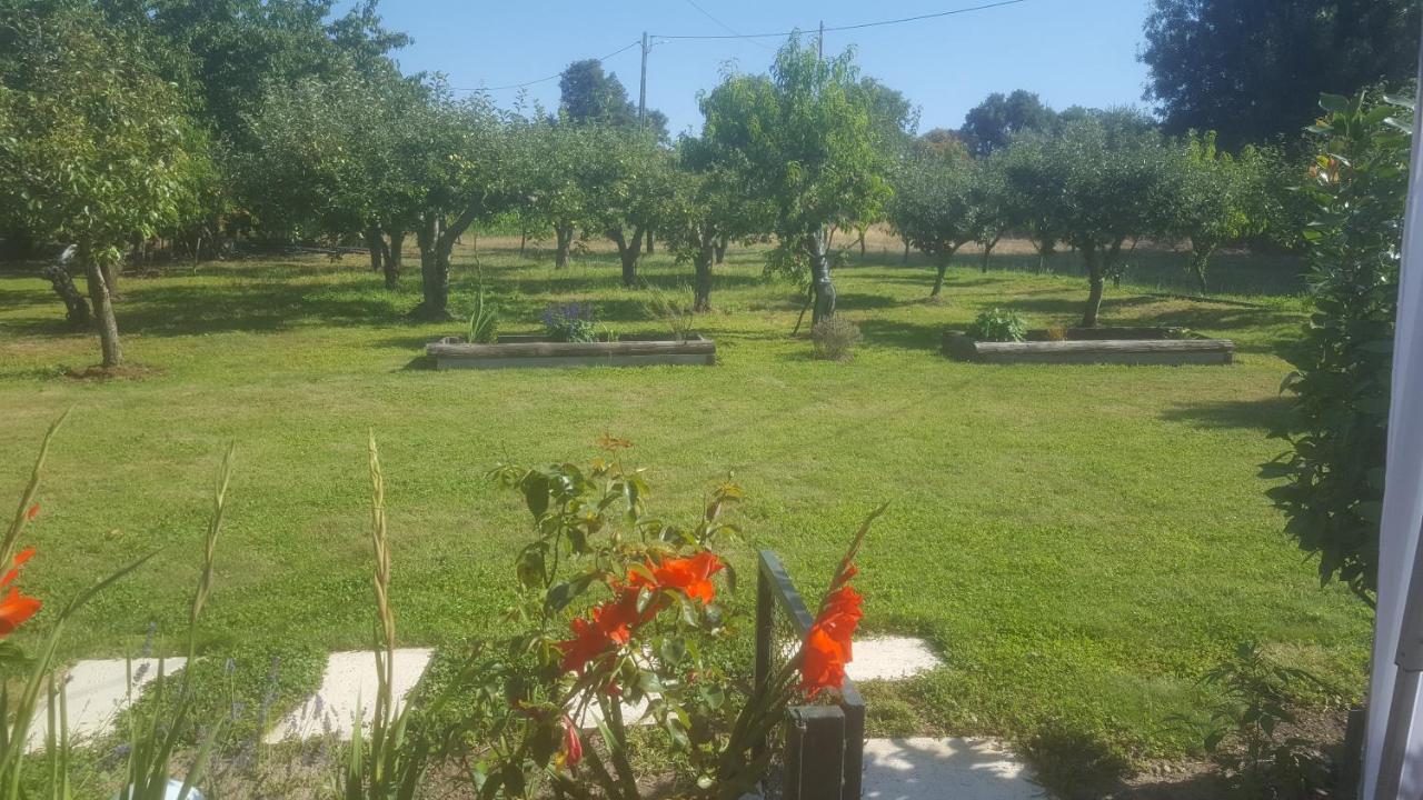 Quinta Do Serrado De Belmonte ベルモンテ エクステリア 写真
