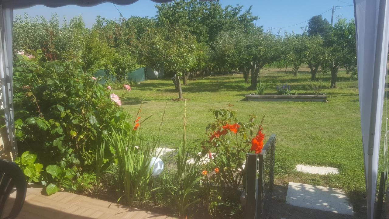 Quinta Do Serrado De Belmonte ベルモンテ エクステリア 写真