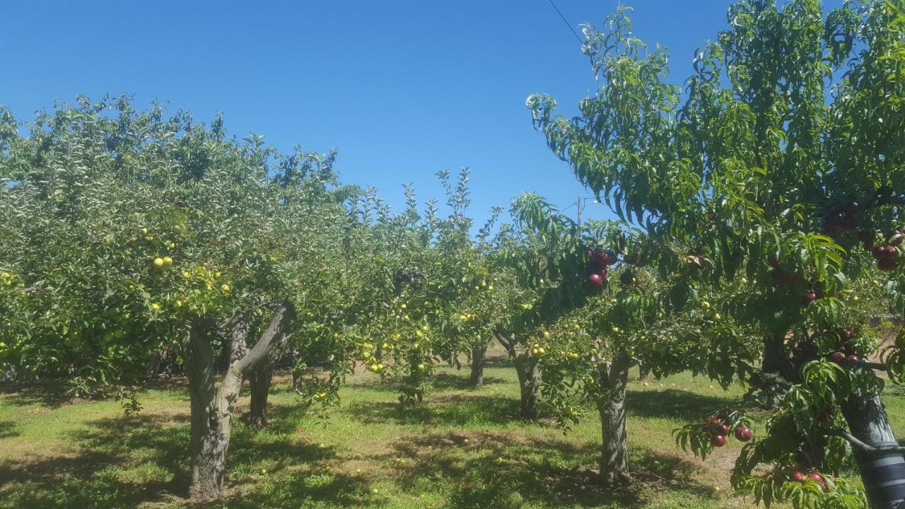 Quinta Do Serrado De Belmonte ベルモンテ エクステリア 写真