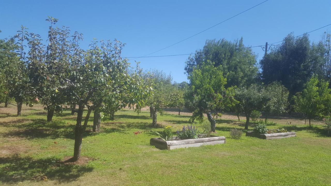 Quinta Do Serrado De Belmonte ベルモンテ エクステリア 写真