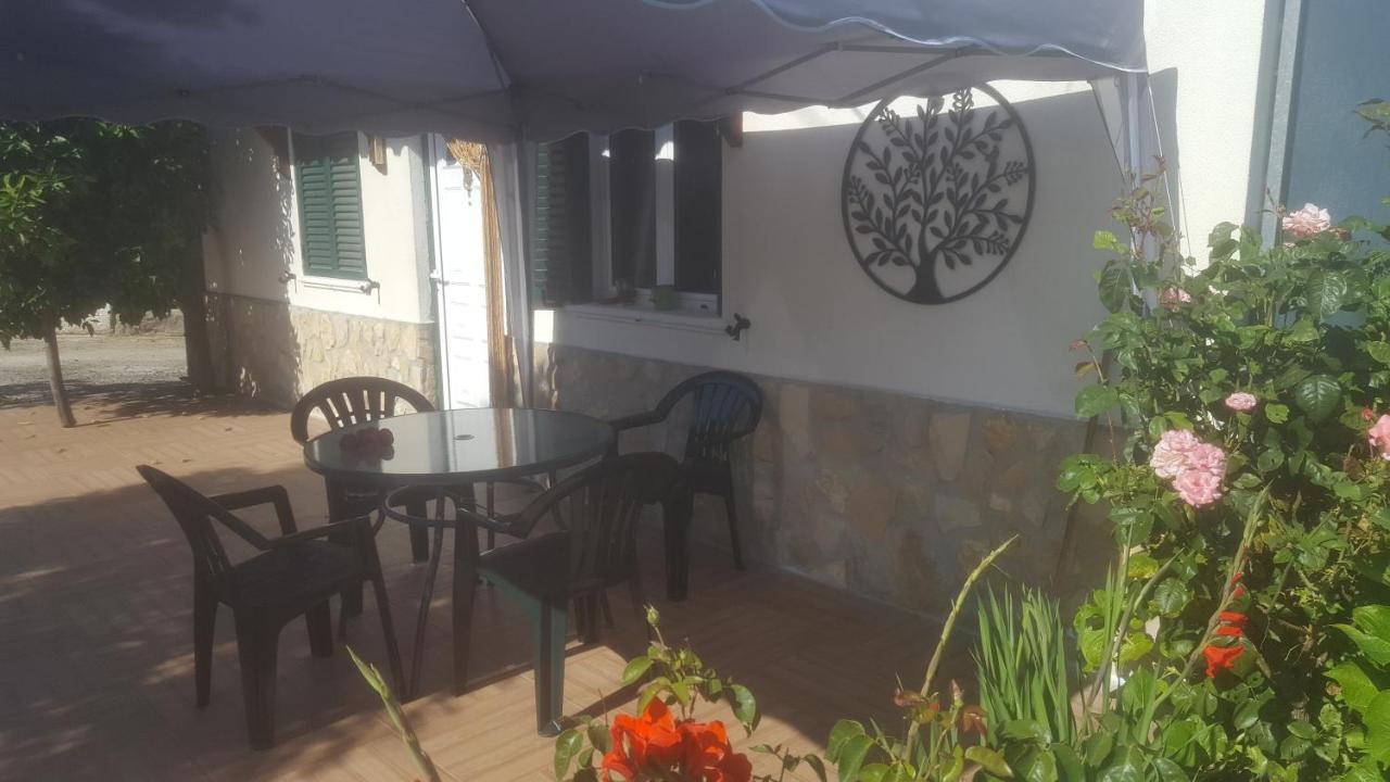 Quinta Do Serrado De Belmonte ベルモンテ エクステリア 写真